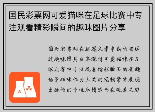 国民彩票网可爱猫咪在足球比赛中专注观看精彩瞬间的趣味图片分享